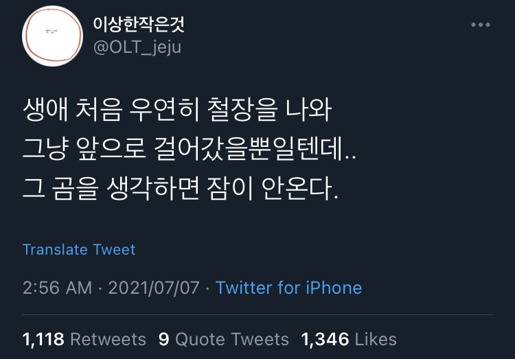 동물을 기르면 뼈저리게 느끼게 된다. 사랑이란 슬픔을 키우는 것.twt | 인스티즈