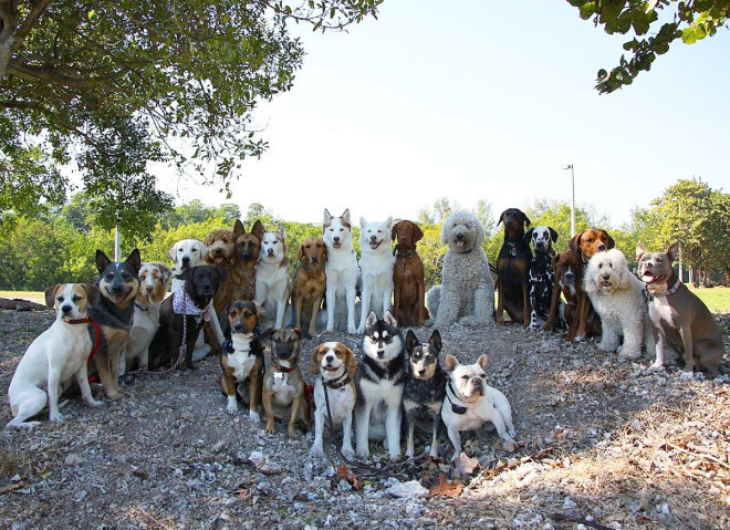 0c4c643539fdf1645642f3af971ee578926253ef