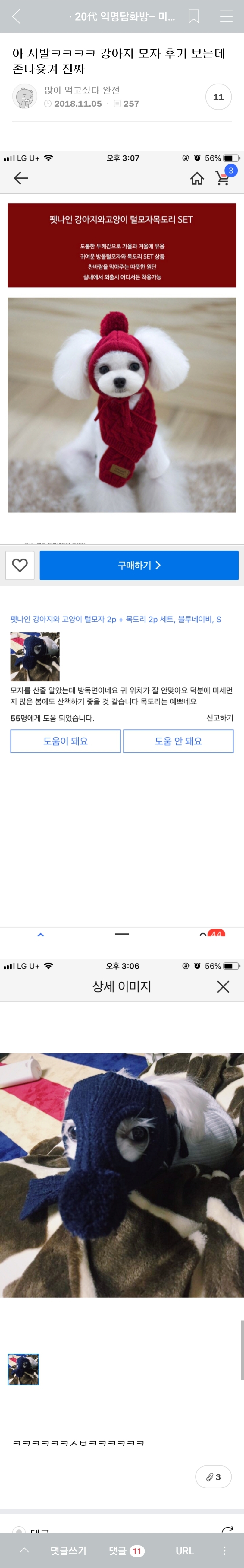 아 저런 ㅋㅋㅋㅋ 강아지 모자 후기 보는데 존나 웃겨 진짜 | 인스티즈