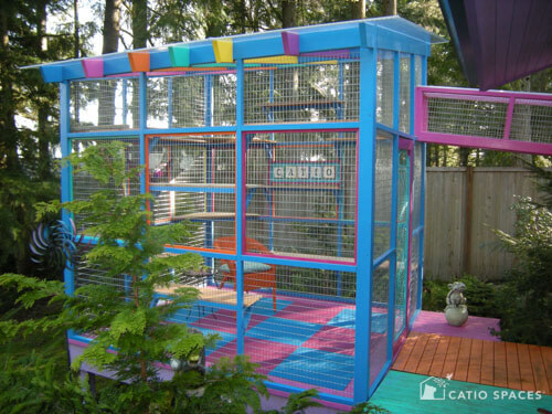 고양이에게 산책영역을 넓혀주고 싶은 집사의 마음 | 인스티즈