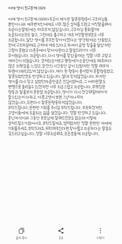 고양이 입양해 칼로 난도질한 후 길에 유기 (사진주의) | 인스티즈