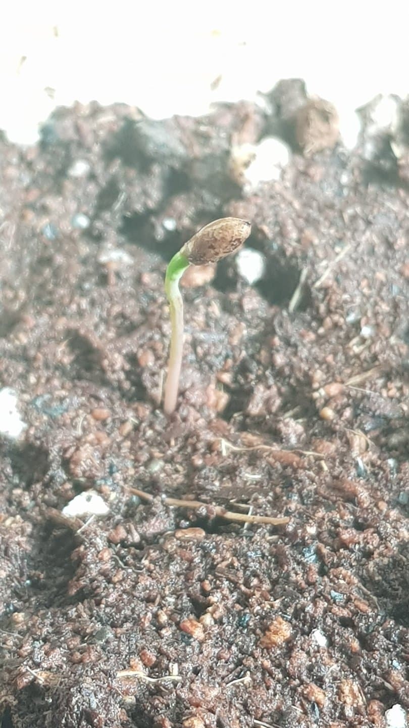 13ed6f95cd02a4c9e0bad9fc7a27bd2bdaf45ab6