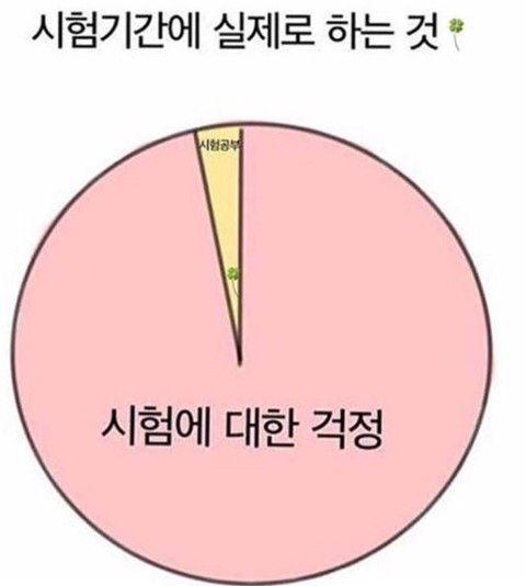 시험이 얼마 남지 않았지만 공부하기 싫은 사람들의 모임 | 인스티즈