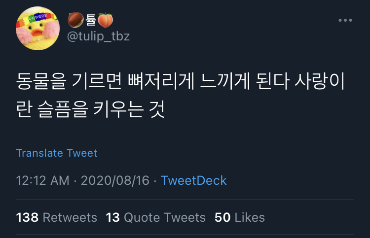 동물을 기르면 뼈저리게 느끼게 된다. 사랑이란 슬픔을 키우는 것.twt | 인스티즈