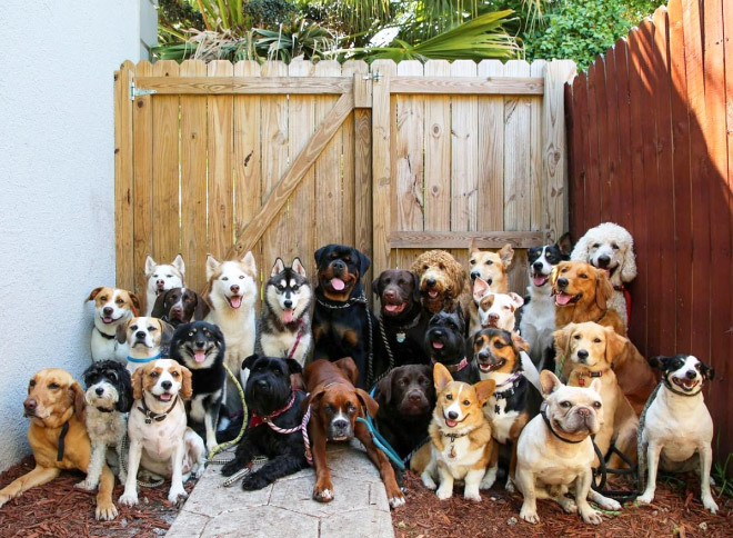 17fe33ac6aadc512e3cac4d6709faccbb01a7148