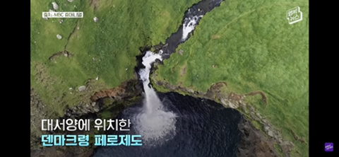 잔인한 고래사냥 전통 | 인스티즈