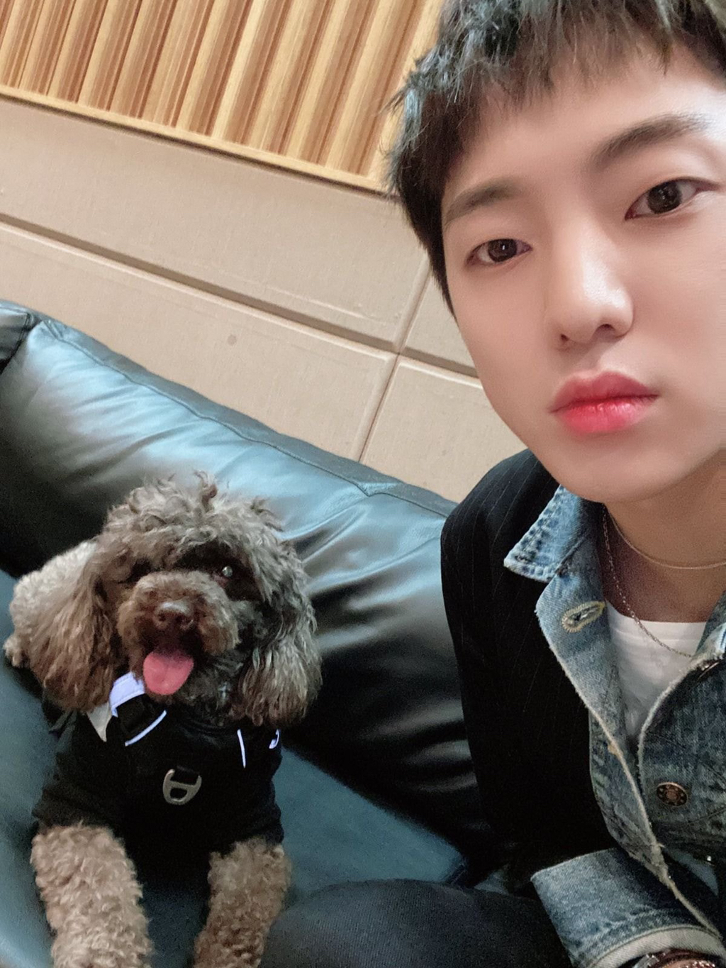 유기견, 유기묘를 입양한 연예인들 | 인스티즈