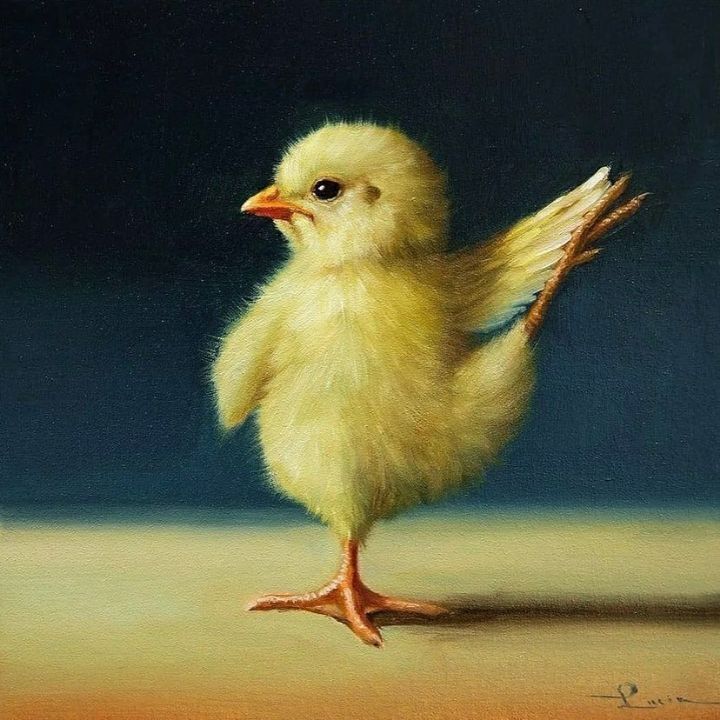 보면 기분 좋아진다는 요가하는 병아리 | 인스티즈