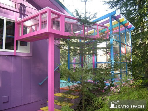 고양이에게 산책영역을 넓혀주고 싶은 집사의 마음 | 인스티즈