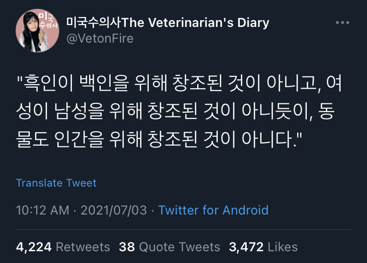 동물을 기르면 뼈저리게 느끼게 된다. 사랑이란 슬픔을 키우는 것.twt | 인스티즈