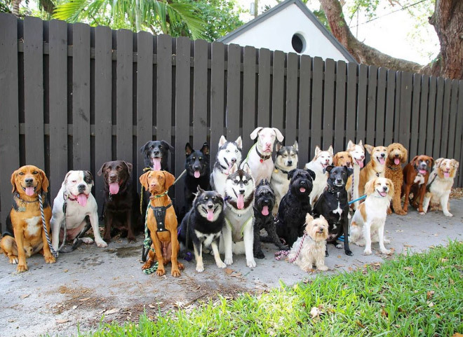 1ad5ffafdb54bb7eb5f9fb67dbeacd383eb45349