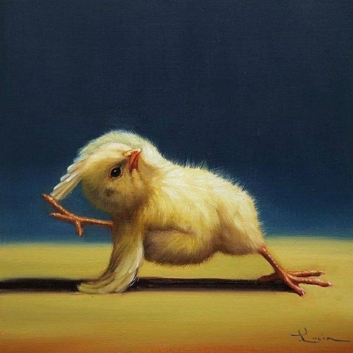 보면 기분 좋아진다는 요가하는 병아리 | 인스티즈