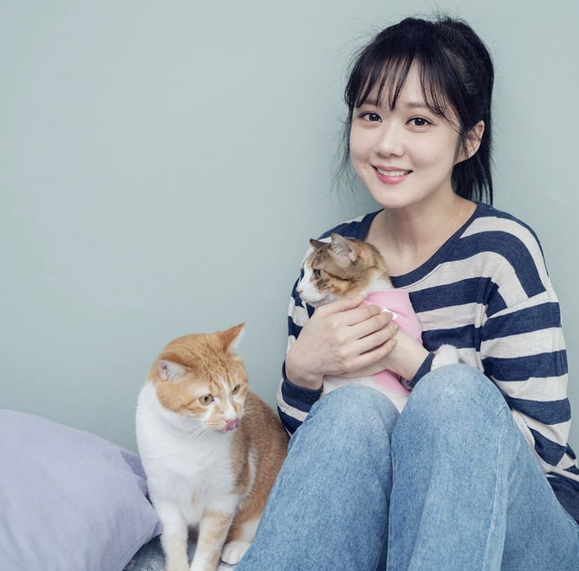 유기견, 유기묘를 입양한 연예인들 | 인스티즈