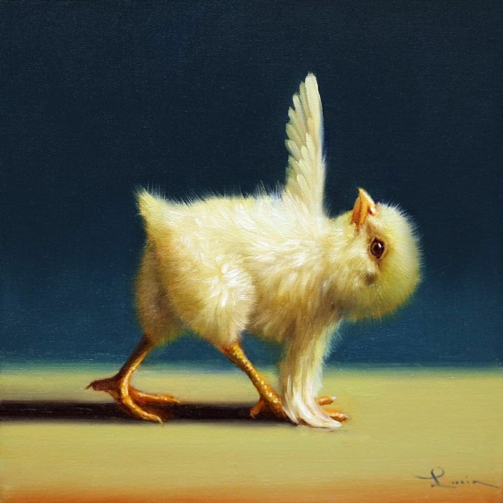 보면 기분 좋아진다는 요가하는 병아리 | 인스티즈