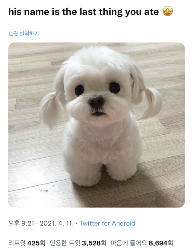 이 아이의 이름은 당신이 마지막으로 먹었던 것입니다 | 인스티즈