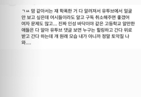 유튜버 가족 루머 퍼트리다가 고소당할 상황인 여시 | 인스티즈