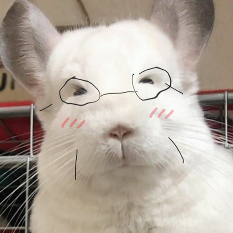 얘들아 재명이가 했다는 아기자기한 공약 | 인스티즈