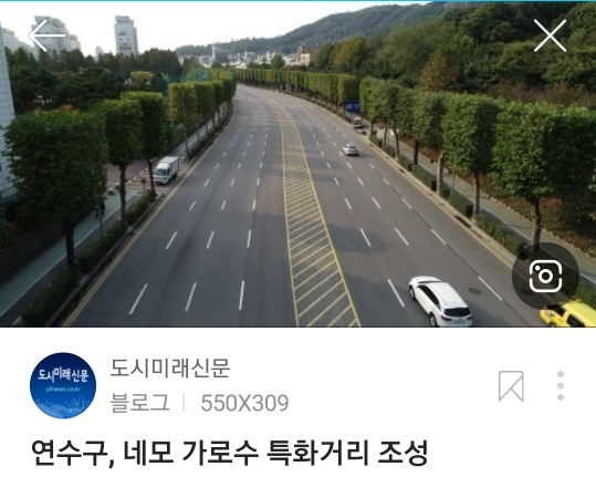 점점 유행인듯한 네모 가로수길.jpg | 인스티즈