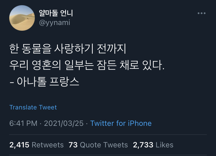 동물을 기르면 뼈저리게 느끼게 된다. 사랑이란 슬픔을 키우는 것.twt | 인스티즈