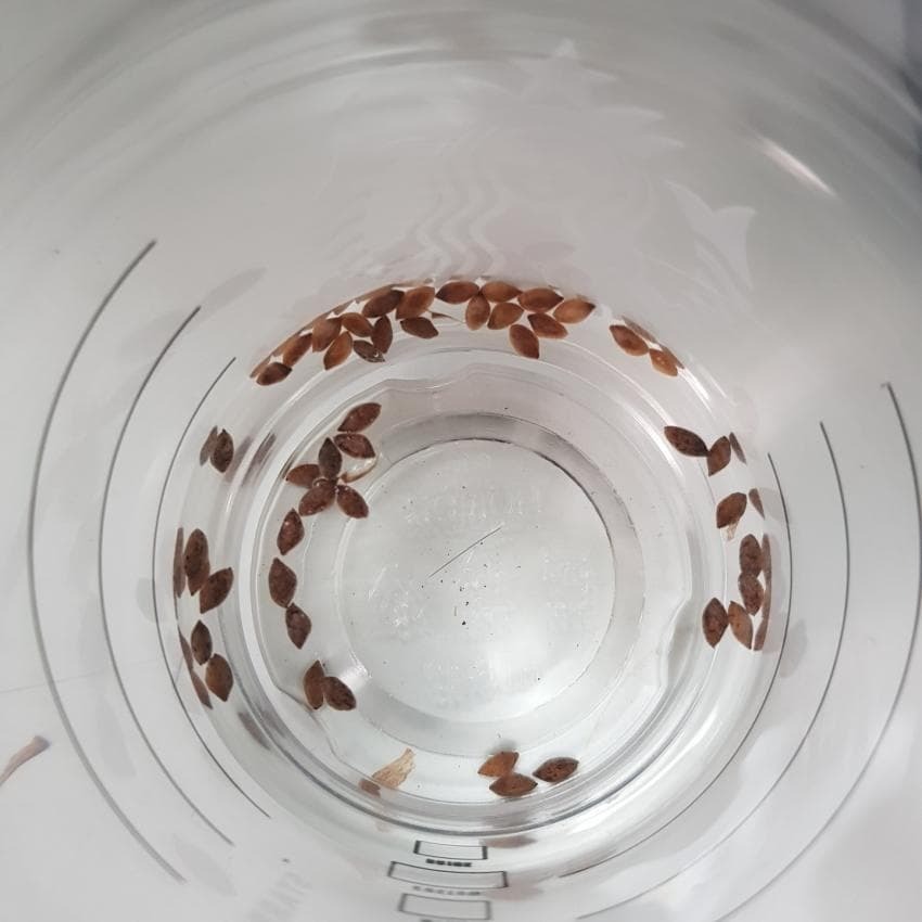 2660f13966d444325e79952fab6216f256c5200d