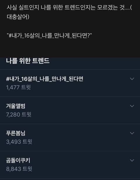 재작년에 트위터에서 소소하게 실트였던 것...jpg | 인스티즈