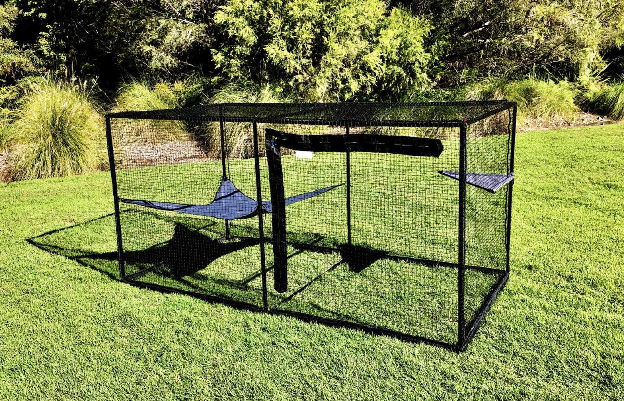 고양이에게 산책영역을 넓혀주고 싶은 집사의 마음 | 인스티즈