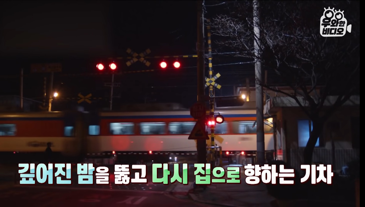 심장을 잃고도 울지 않는 11살 피아노 영재 용준이 | 인스티즈