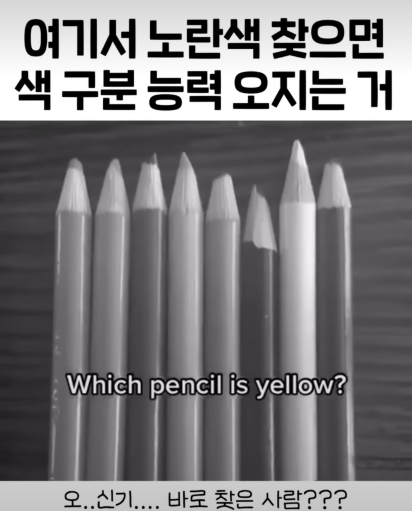 여기서 노란색 찾으면 색 구분 능력 오지는 거 | 인스티즈