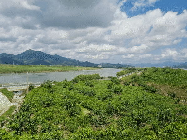 의외로 많은 사람들이 모르는 갤럭시 카메라 기능 | 인스티즈
