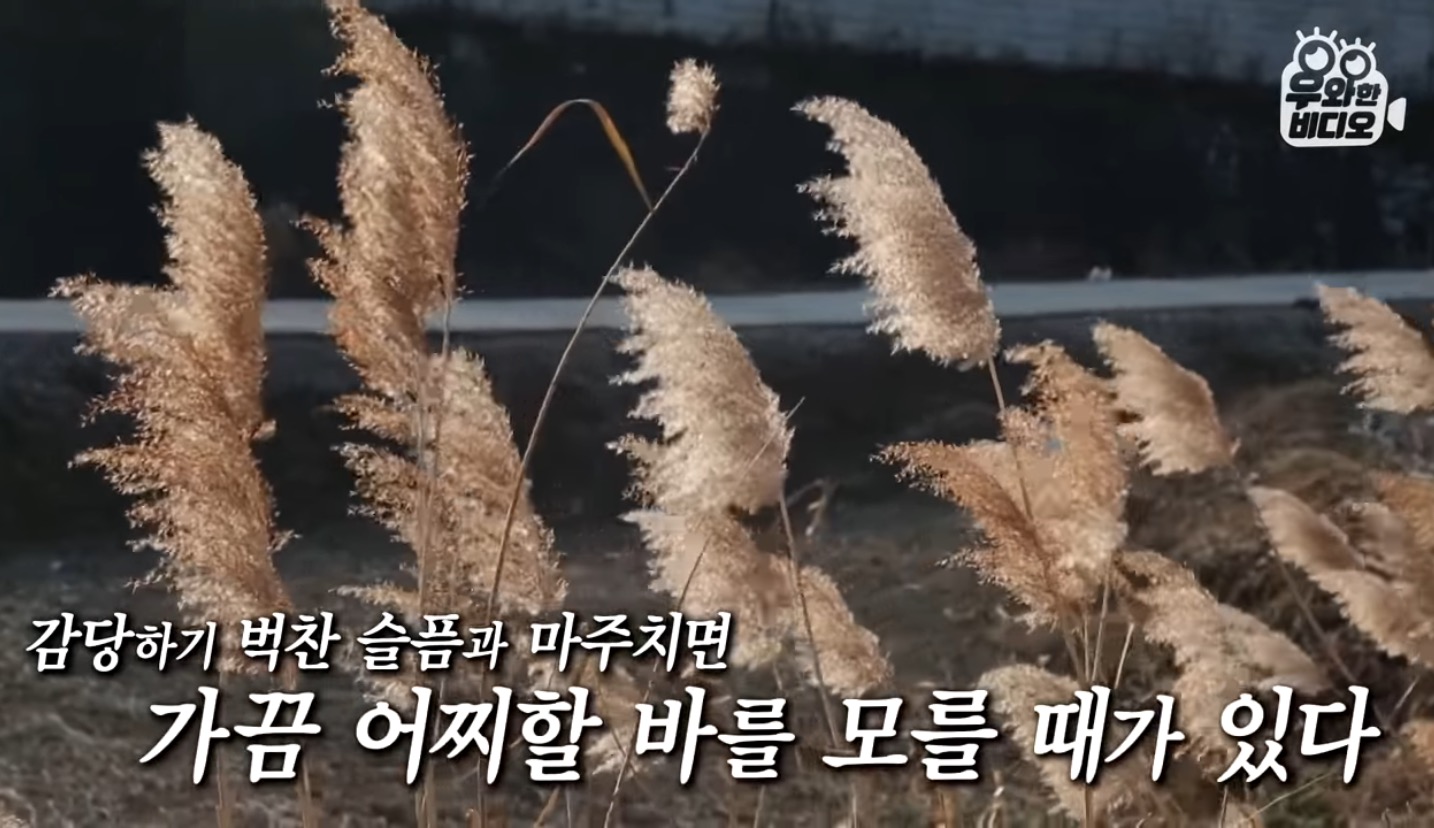 심장을 잃고도 울지 않는 11살 피아노 영재 용준이 | 인스티즈