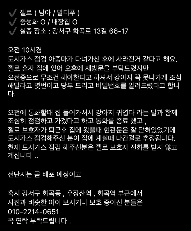 강아지를 찾습니다 | 인스티즈