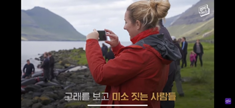 잔인한 고래사냥 전통 | 인스티즈