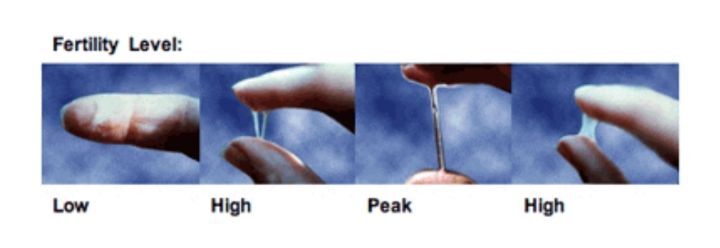 냉 아닌데 사람들이 은근 많이 냉으로 착각하는 것 | 인스티즈