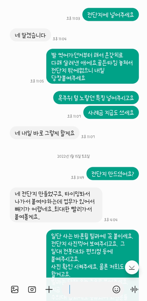고양이 입양해 칼로 난도질한 후 길에 유기 (사진주의) | 인스티즈