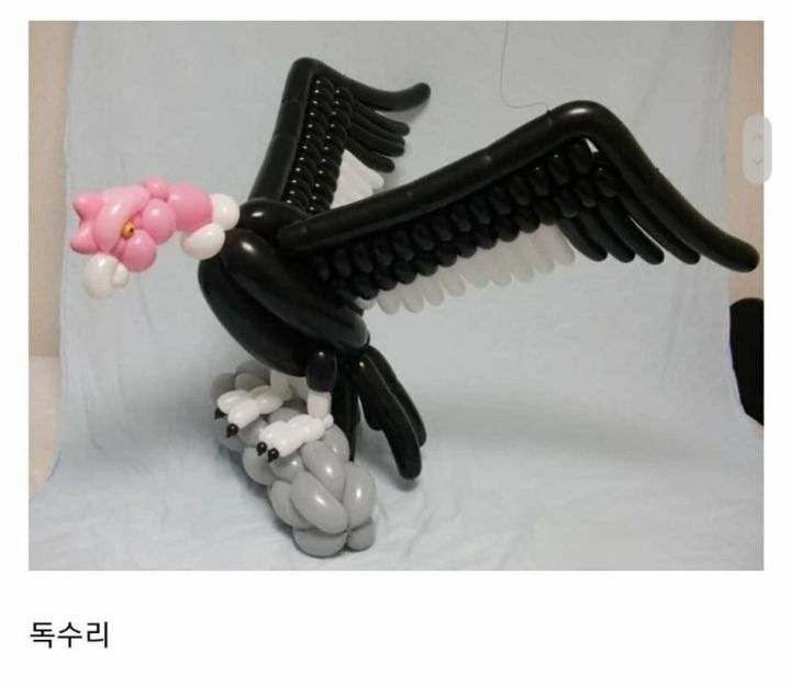 풍선공예 레전드 jpg | 인스티즈