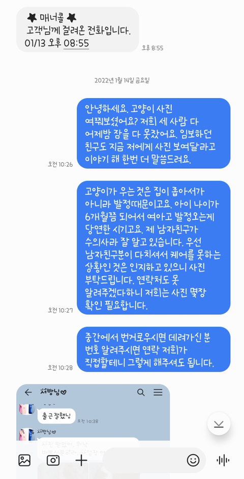 고양이 입양해 칼로 난도질한 후 길에 유기 (사진주의) | 인스티즈