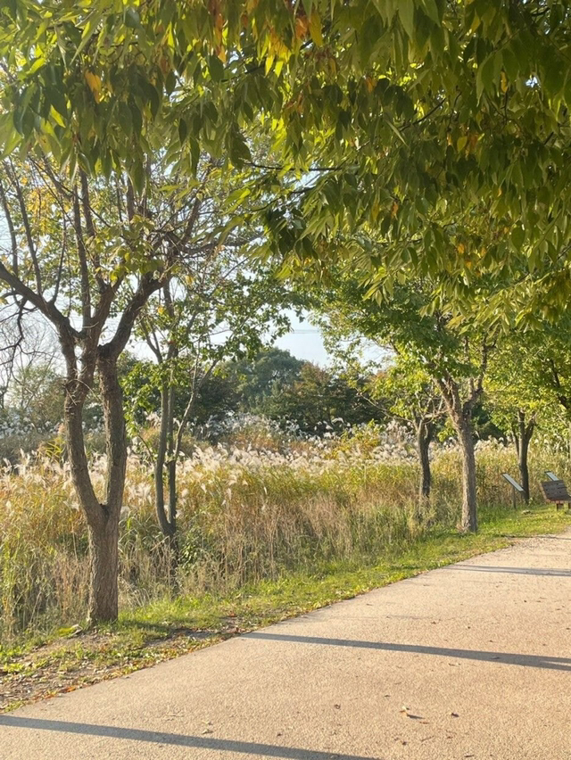 미래에 대한 막막함에 숨막히던 원이 정말 많이 위로받았던 글.txt | 인스티즈