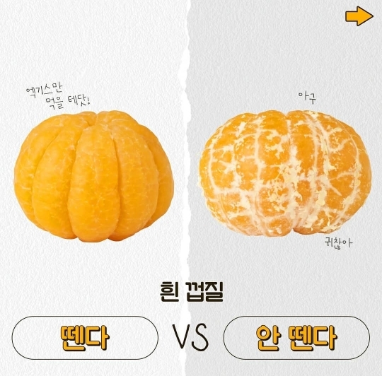 나의 귤 취향은?? | 인스티즈