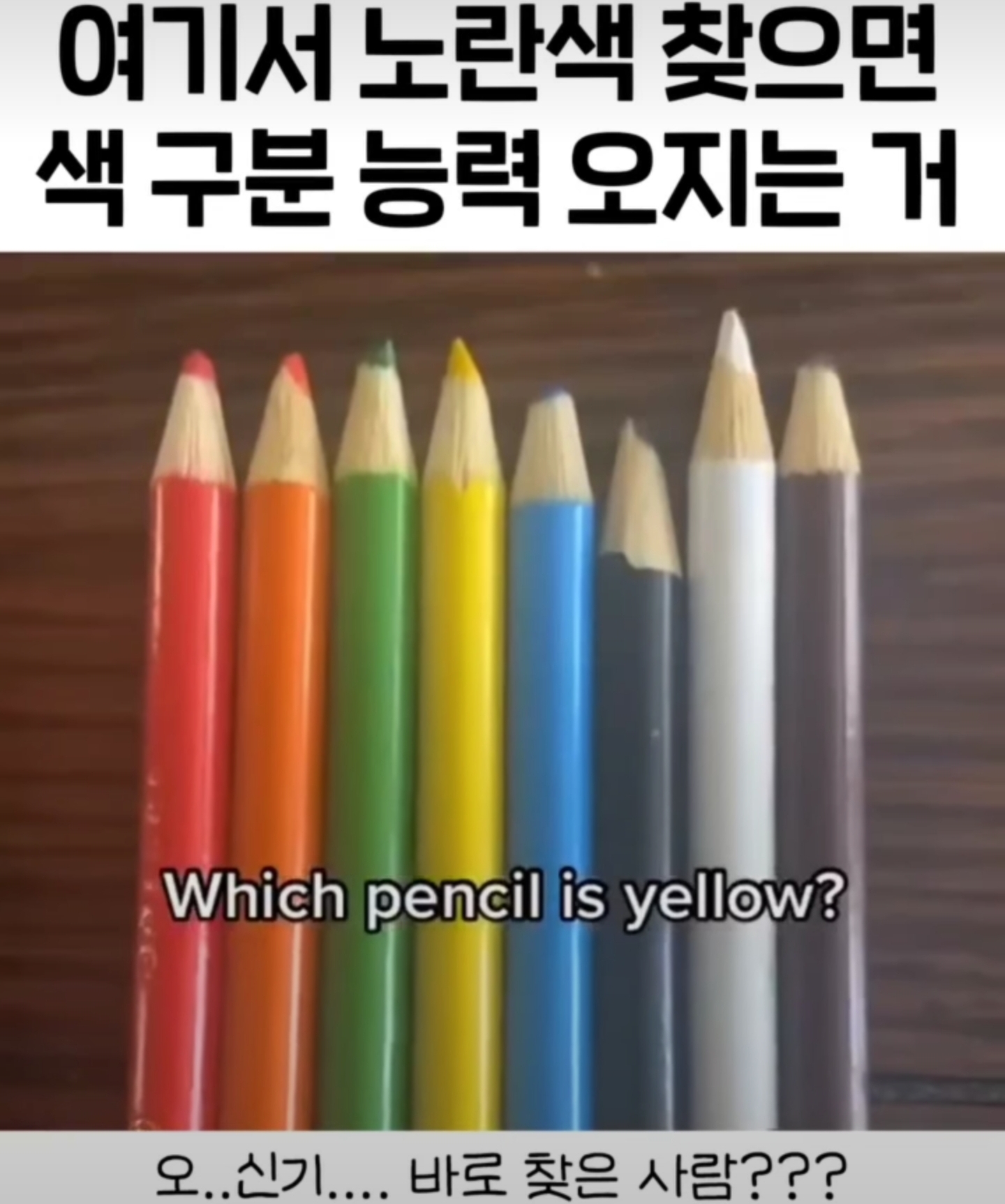 여기서 노란색 찾으면 색 구분 능력 오지는 거 | 인스티즈