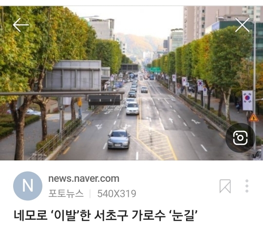 점점 유행인듯한 네모 가로수길.jpg | 인스티즈