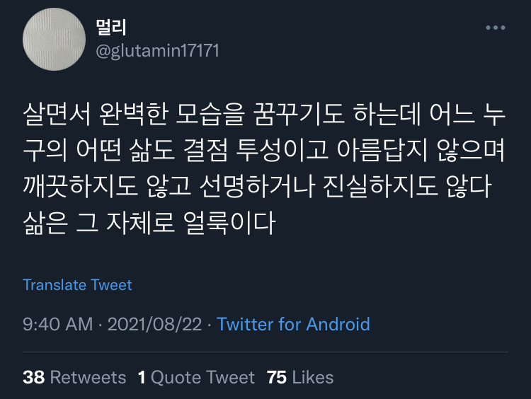 외길로 가면 안 돼. 헤매야 해.twt | 인스티즈