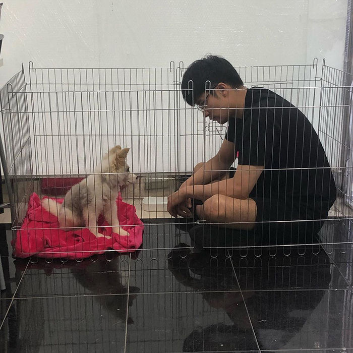 유기견, 유기묘를 입양한 연예인들 | 인스티즈