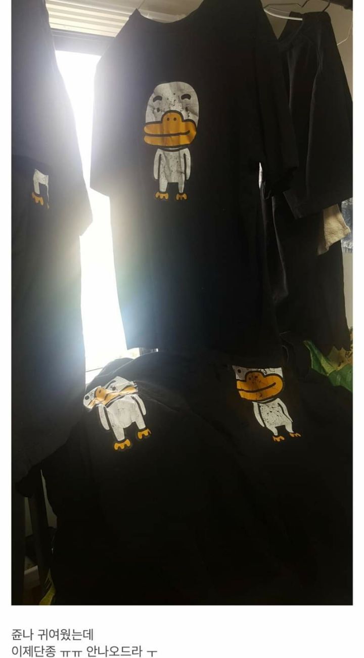 카카오 반팔티에 너무 진심인사람 | 인스티즈