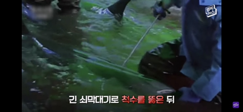 잔인한 고래사냥 전통 | 인스티즈