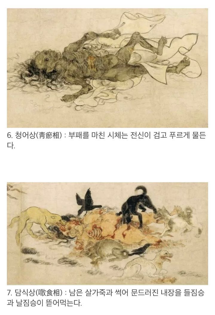 '구상도'로 보는 시신이 부패되는 과정 | 인스티즈