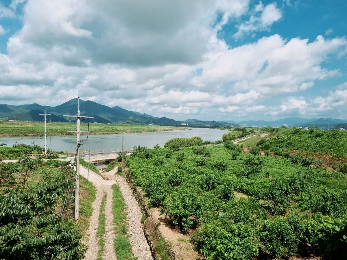 의외로 많은 사람들이 모르는 갤럭시 카메라 기능 | 인스티즈