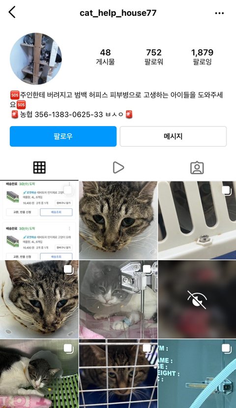 🔥호더가 버리고 간 14마리 고양이를 보호자 없이 혼자 케어 중인 미성년자 학생한테 관심 부탁해🔥 | 인스티즈