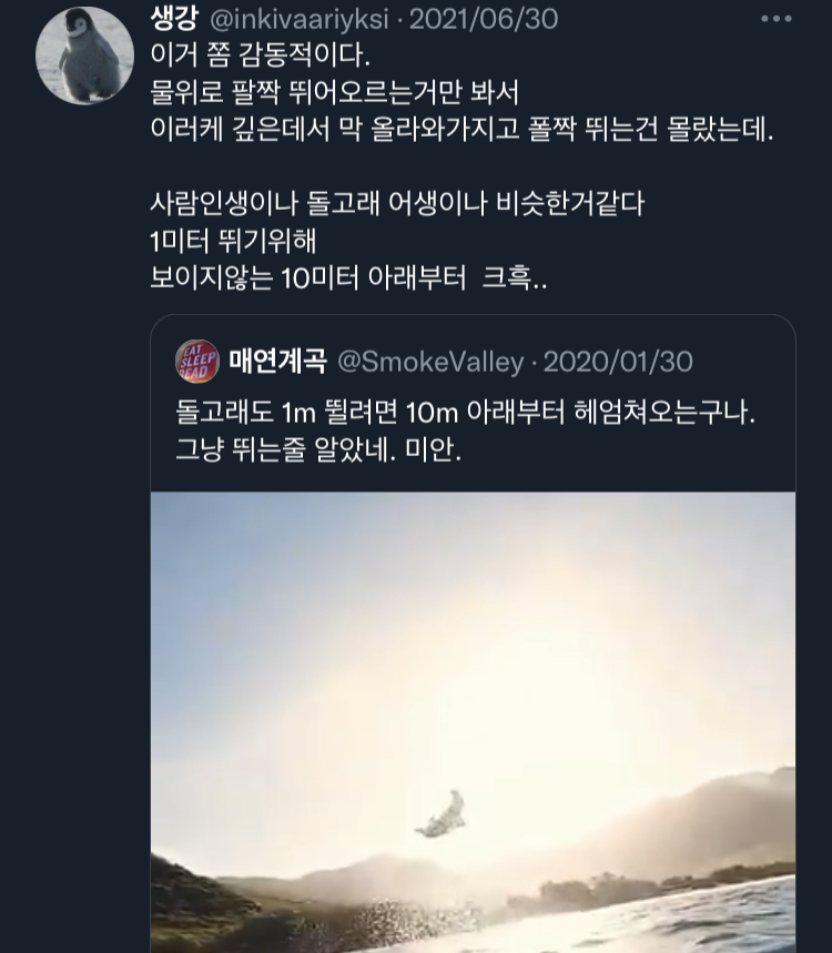 외길로 가면 안 돼. 헤매야 해.twt | 인스티즈