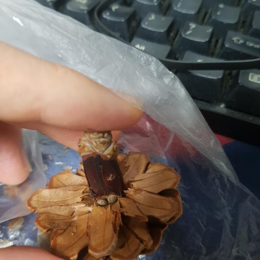 5a1362bbc563d2389e9daa3d6988fec0425a87d6