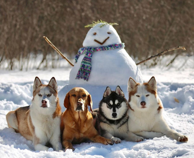 5b7e019ba9af76f65b794b15b1912d47d0153419